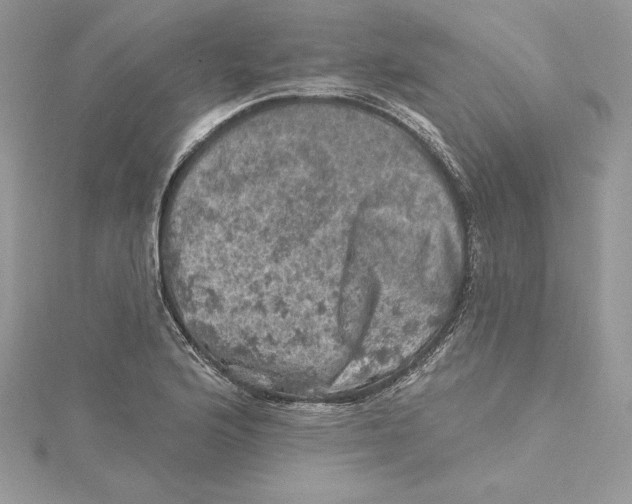 X0000114651176200911171044