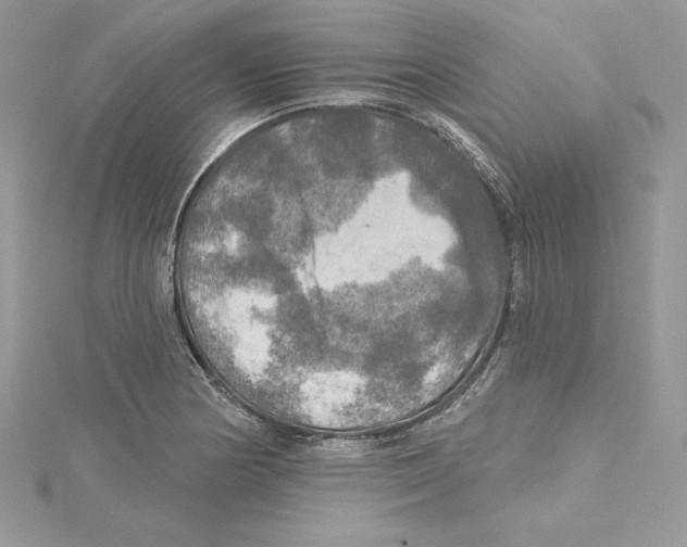 X0000114651178200911171044