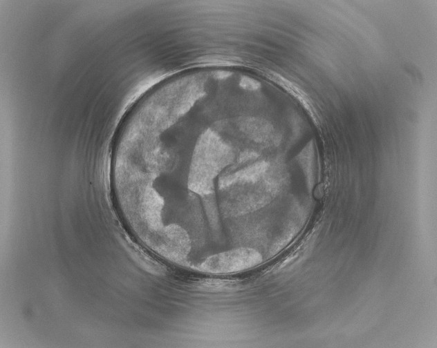 X0000114651179200911171044