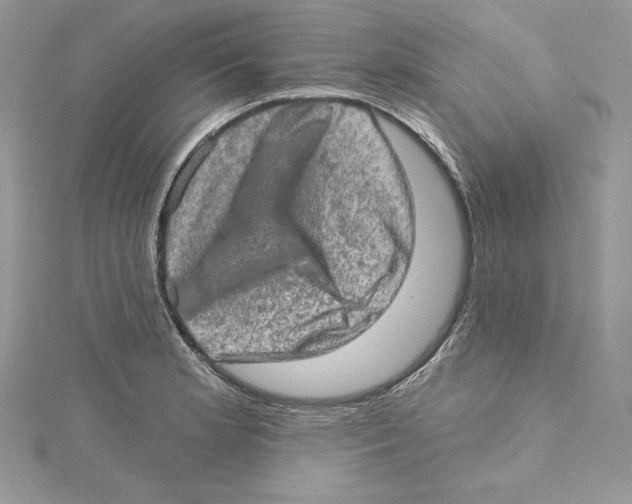 X0000114651181200911171044