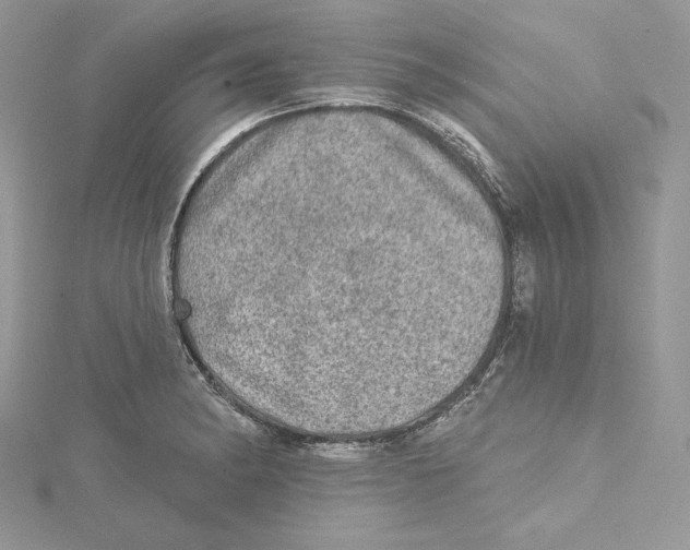 X0000114651182200911171044