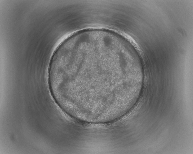 X0000114651183200911171044