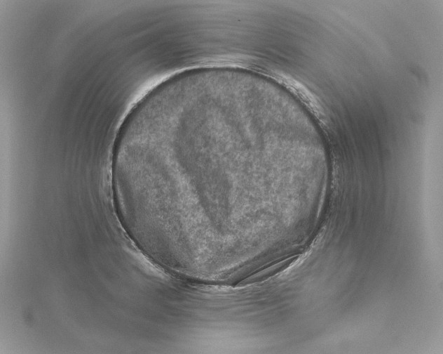 X0000114651184200911171044