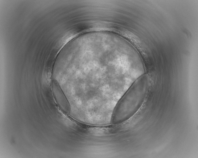 X0000114651185200911171044