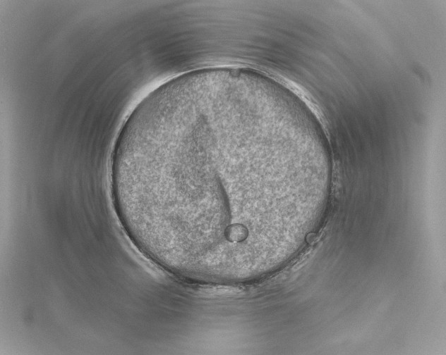 X0000114651187200911171044