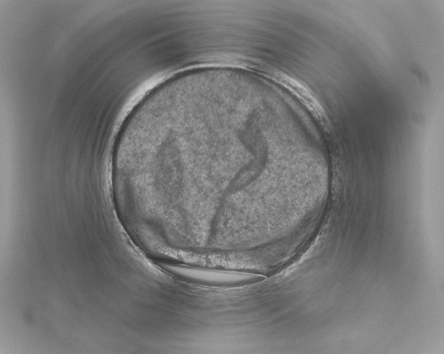 X0000114651188200911171044