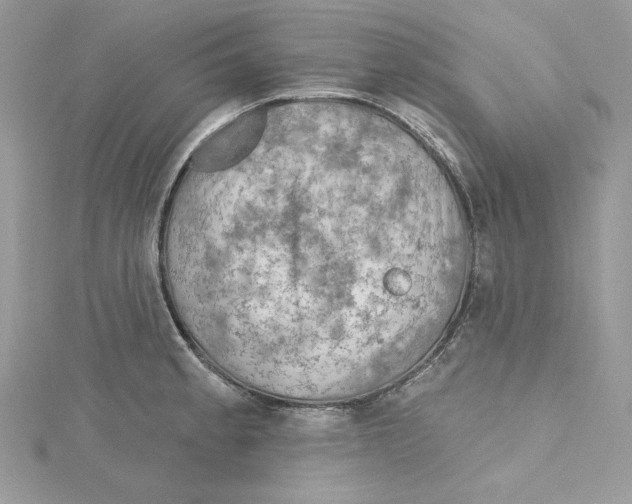 X0000114651189200911171044