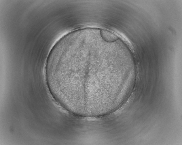 X0000114651190200911171044