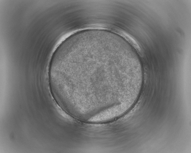 X0000114651192200911171044