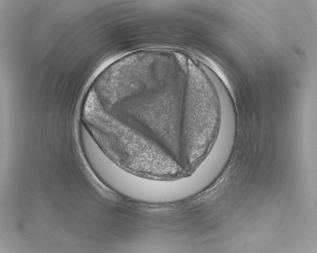 X0000114651195200911171044