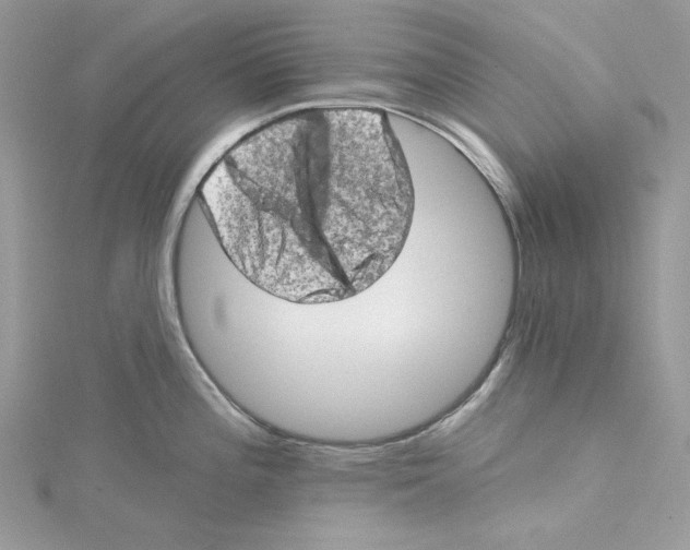 X0000114651196200911171044