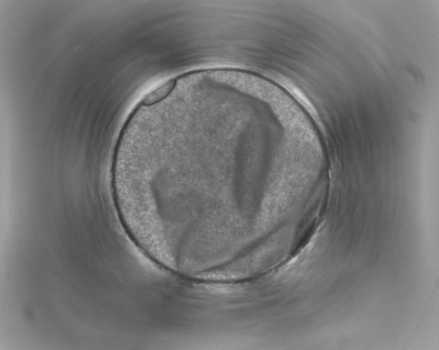 X0000114651197200911171044