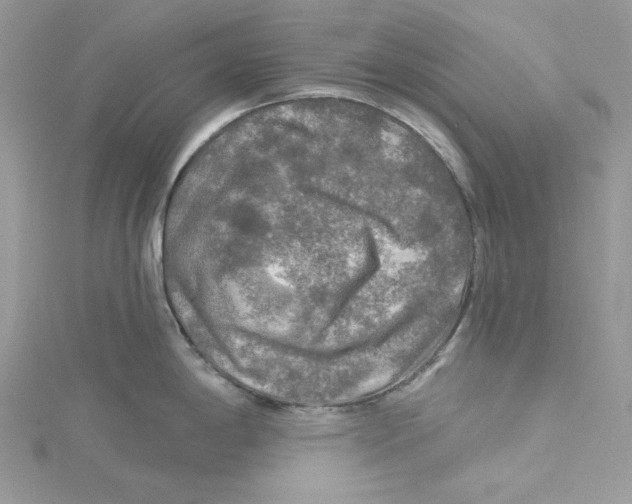 X0000114651198200911171044