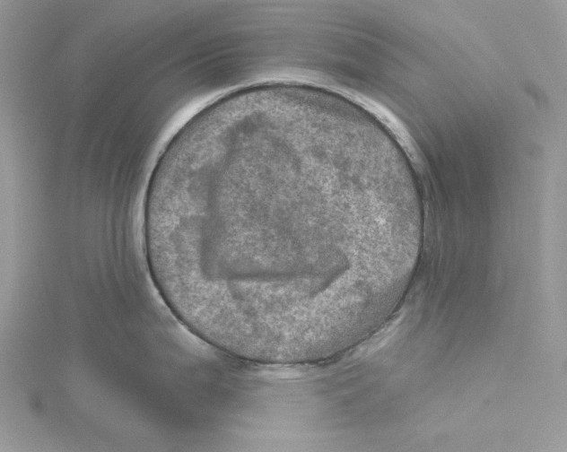 X0000114651199200911171044