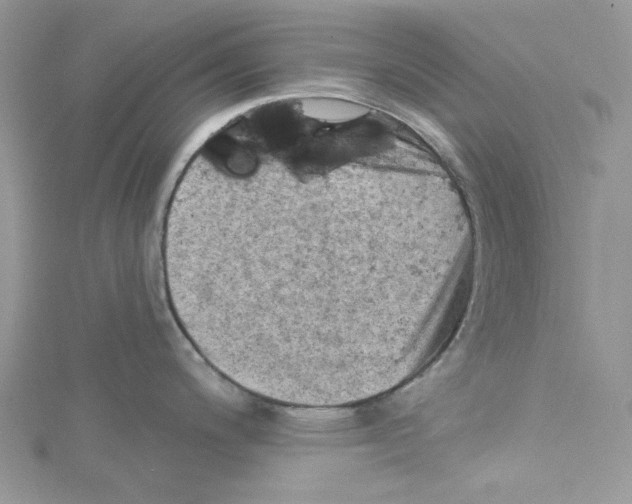 X0000114651200200911171044