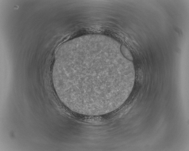 X0000114651201200911171043