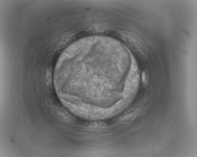 X0000114651203200911171043