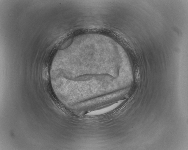 X0000114651204200911171043