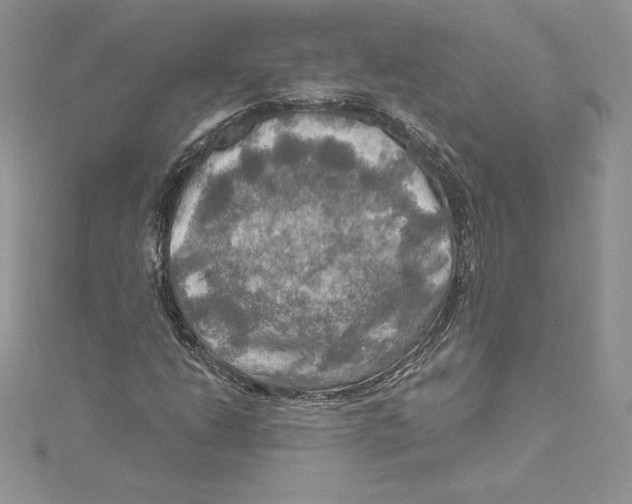 X0000114651206200911171043