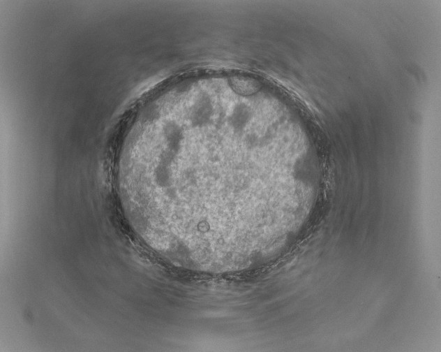 X0000114651207200911171043