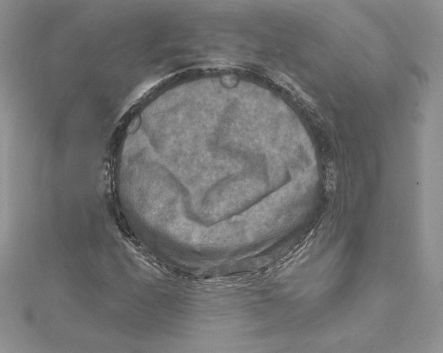 X0000114651208200911171043