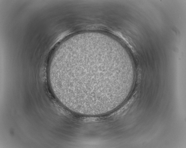 X0000114651211200911171043