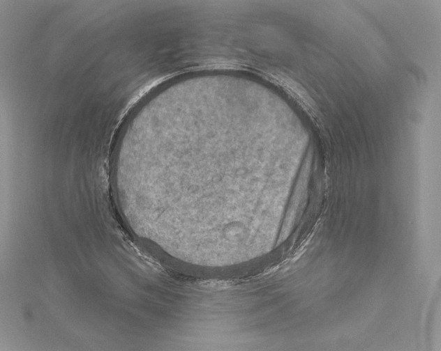 X0000114651212200911171043