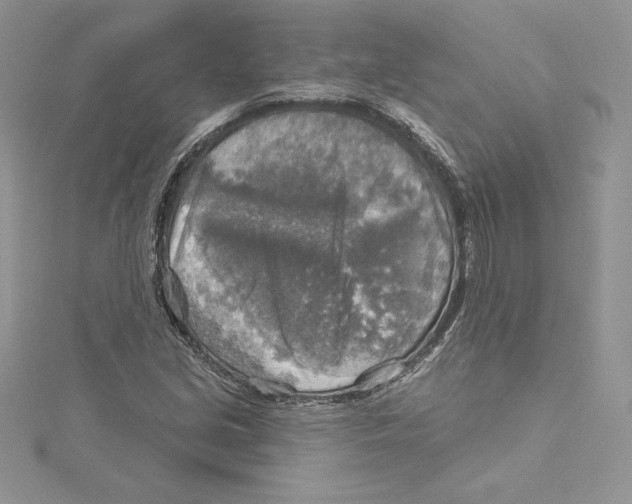 X0000114651213200911171043