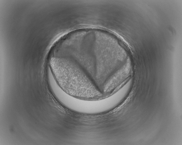 X0000114651215200911171043