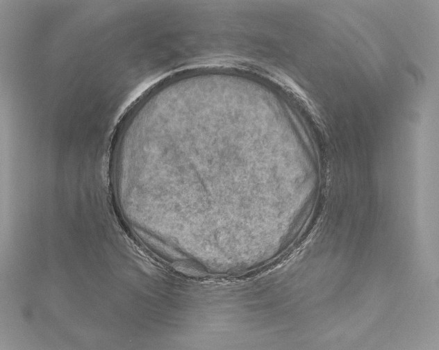 X0000114651216200911171043