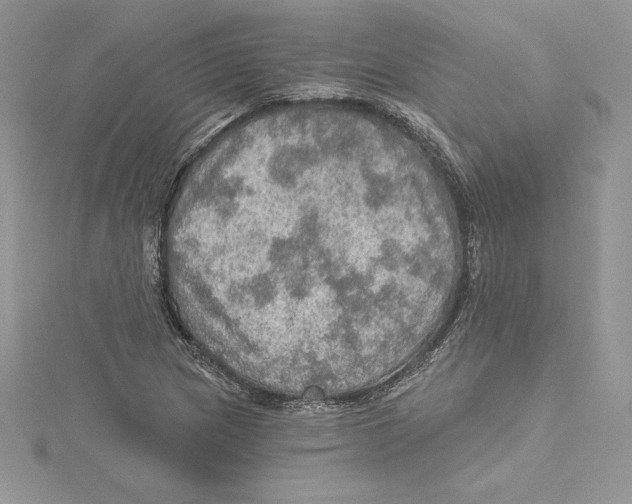 X0000114651217200911171043