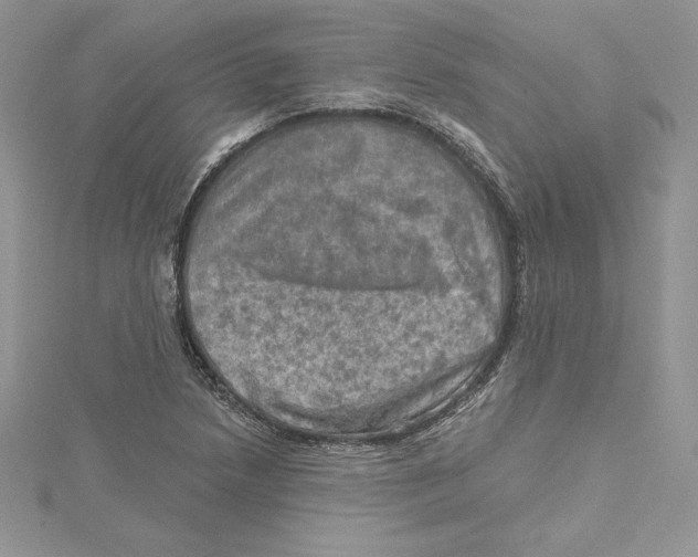 X0000114651218200911171043