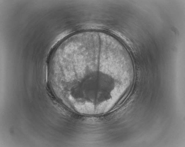 X0000114651219200911171043