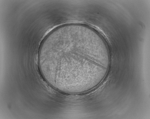 X0000114651220200911171043