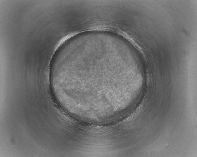 X0000114651222200911171043