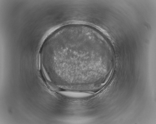 X0000114651223200911171043