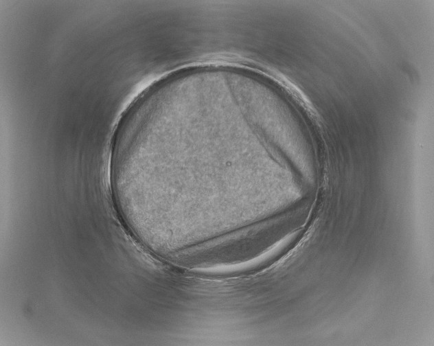 X0000114651224200911171043