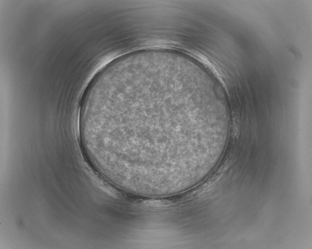 X0000114651227200911171043