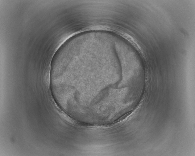 X0000114651228200911171043