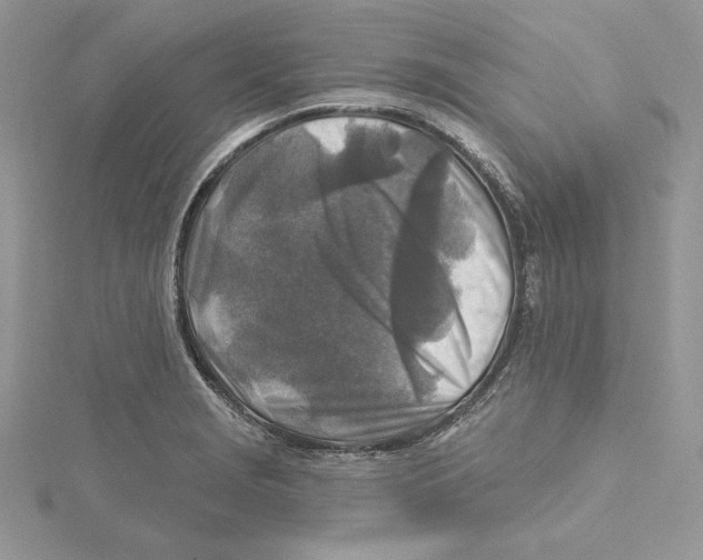 X0000114651229200911171043