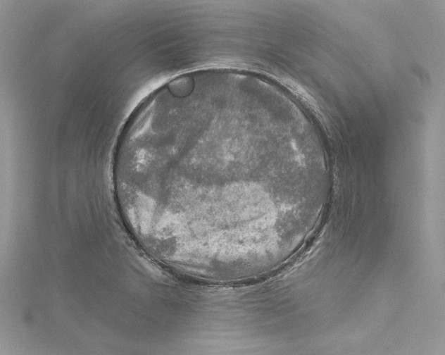 X0000114651230200911171043