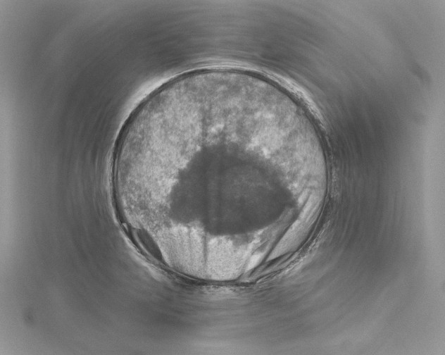 X0000114651231200911171043