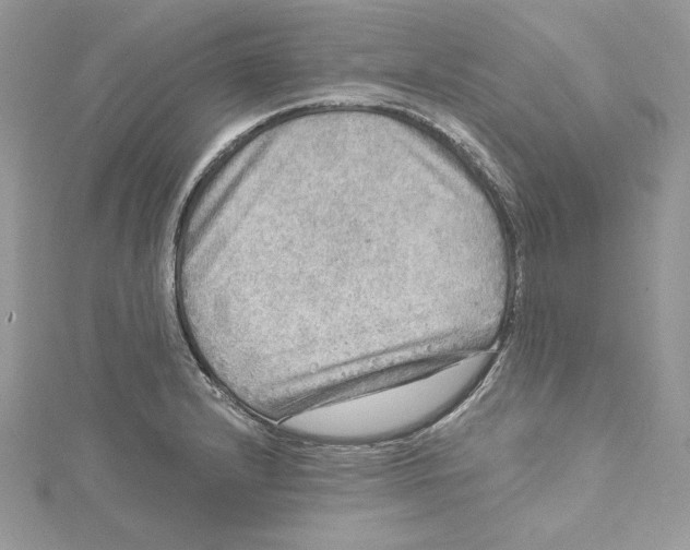 X0000114651232200911171043