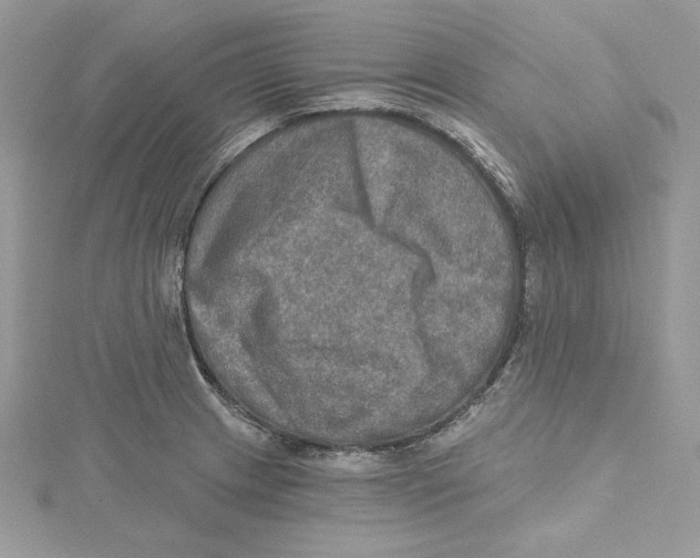 X0000114651233200911171043