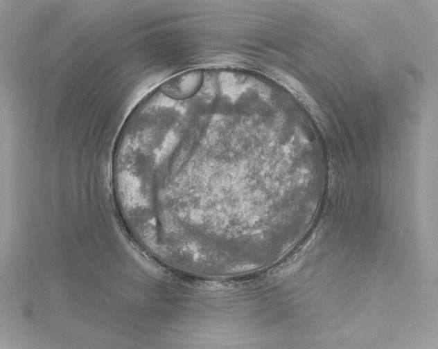 X0000114651234200911171043