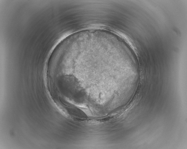 X0000114651235200911171043