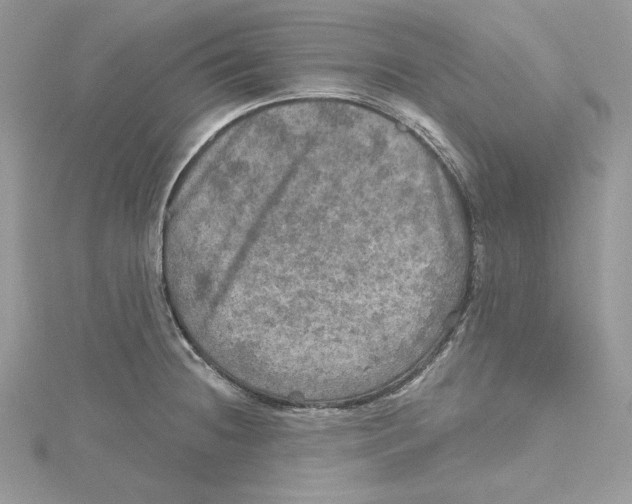 X0000114651236200911171043