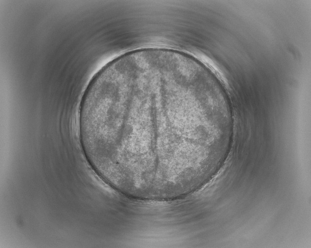 X0000114651238200911171044