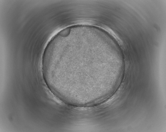 X0000114651240200911171044