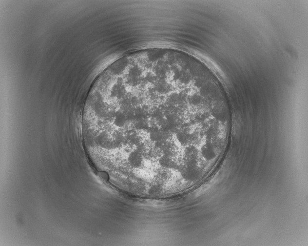 X0000114651241200911171044